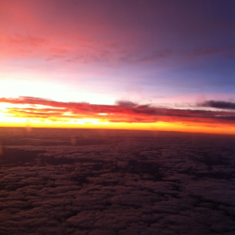 Meet your Posher, Sharonda